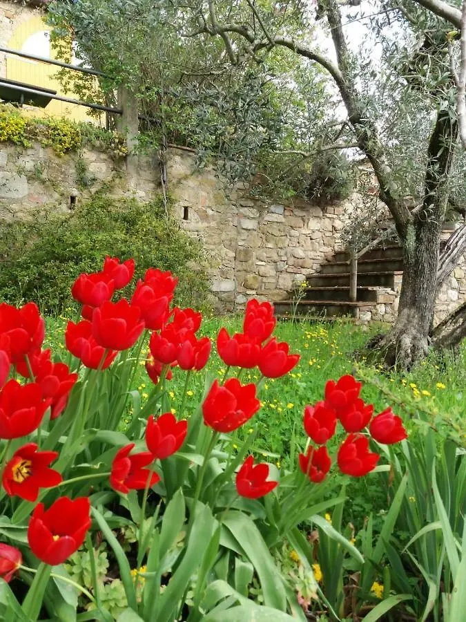 Agriturismo Montaperti Volterra 0*,