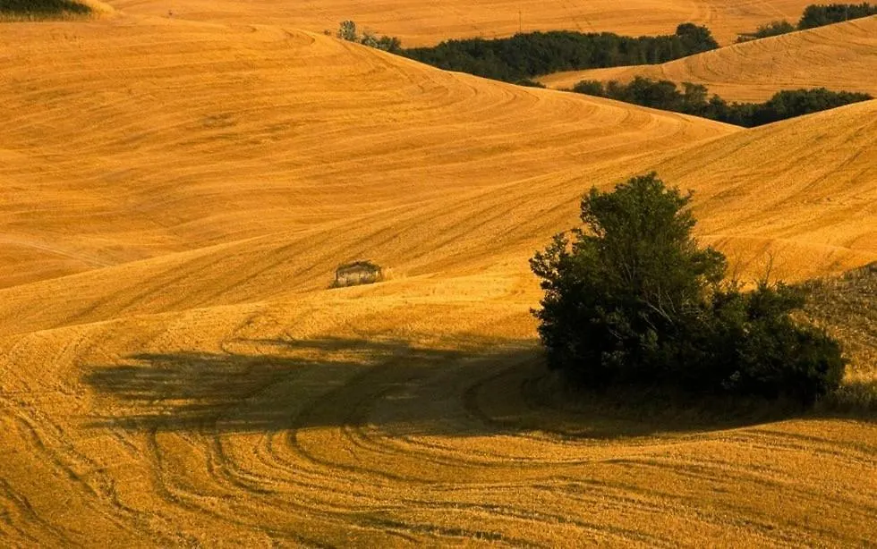 Venkovský dům Agriturismo Montaperti Volterra Itálie